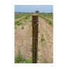 TREATED CONICAL WOODEN POSTS