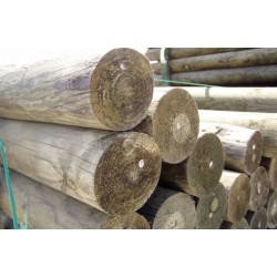 Treated dowelled posts