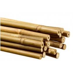 Tuteurs en bambou 0,90m  8/10mm