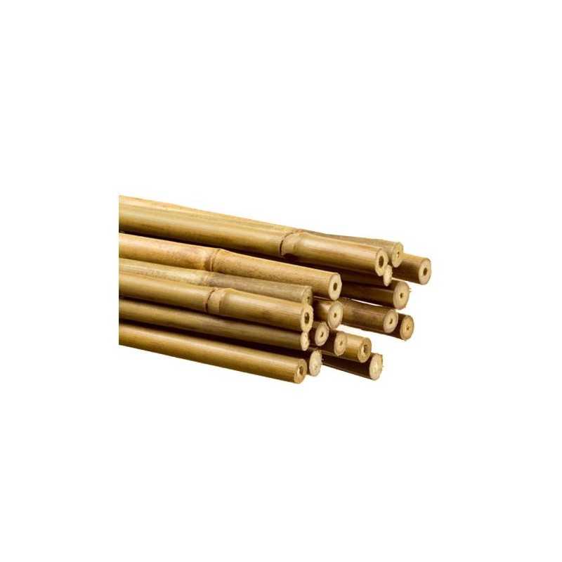 Tutores de bambú  1,20m  12-14mm